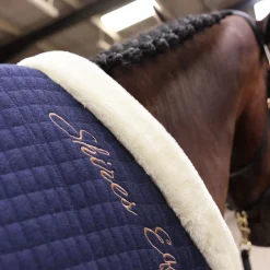Shires Deluxe Tech Cooler Rug