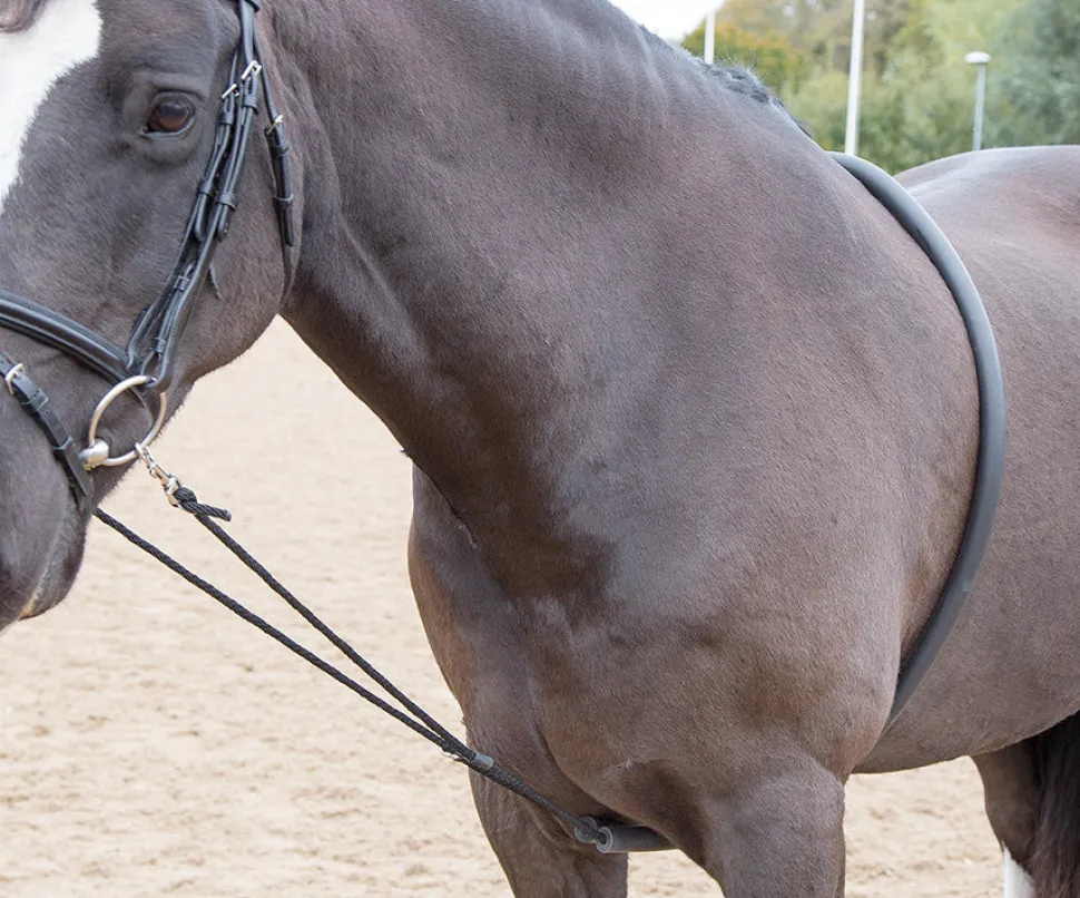 Soft Lunging Aid