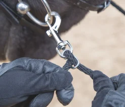 Soft Lunging Aid