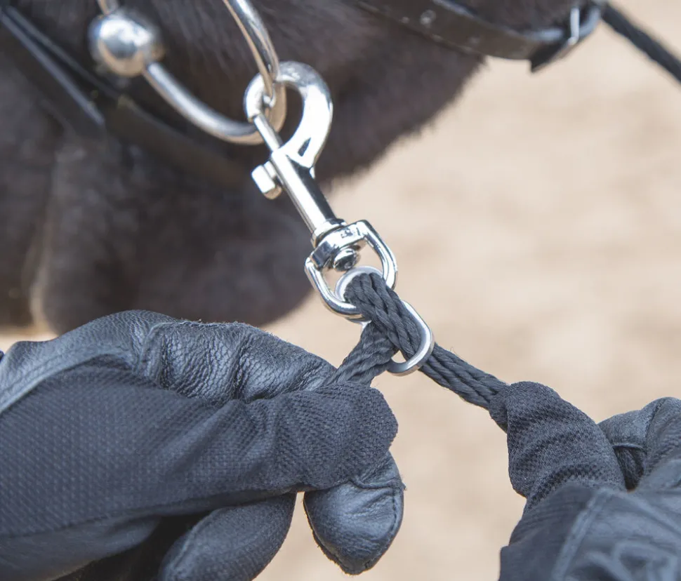 Soft Lunging Aid