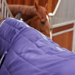 Tempest Original 100 Combo Stable Rug