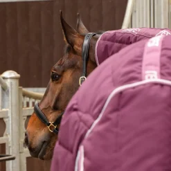 Tempest Original 300 Combo Stable Rug