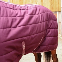 Tempest Original 300 Combo Stable Rug