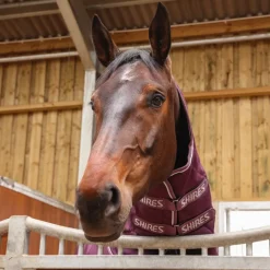 Tempest Original 300 Combo Stable Rug