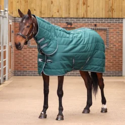 Tempest Original 200 Combo Stable Rug