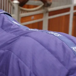 Tempest Original 100 Stable Rug & Neck