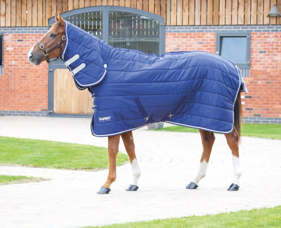 Tempest Original 200 Stable Combo Rug