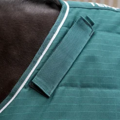 Tempest Original 200 Stable Rug & Neck