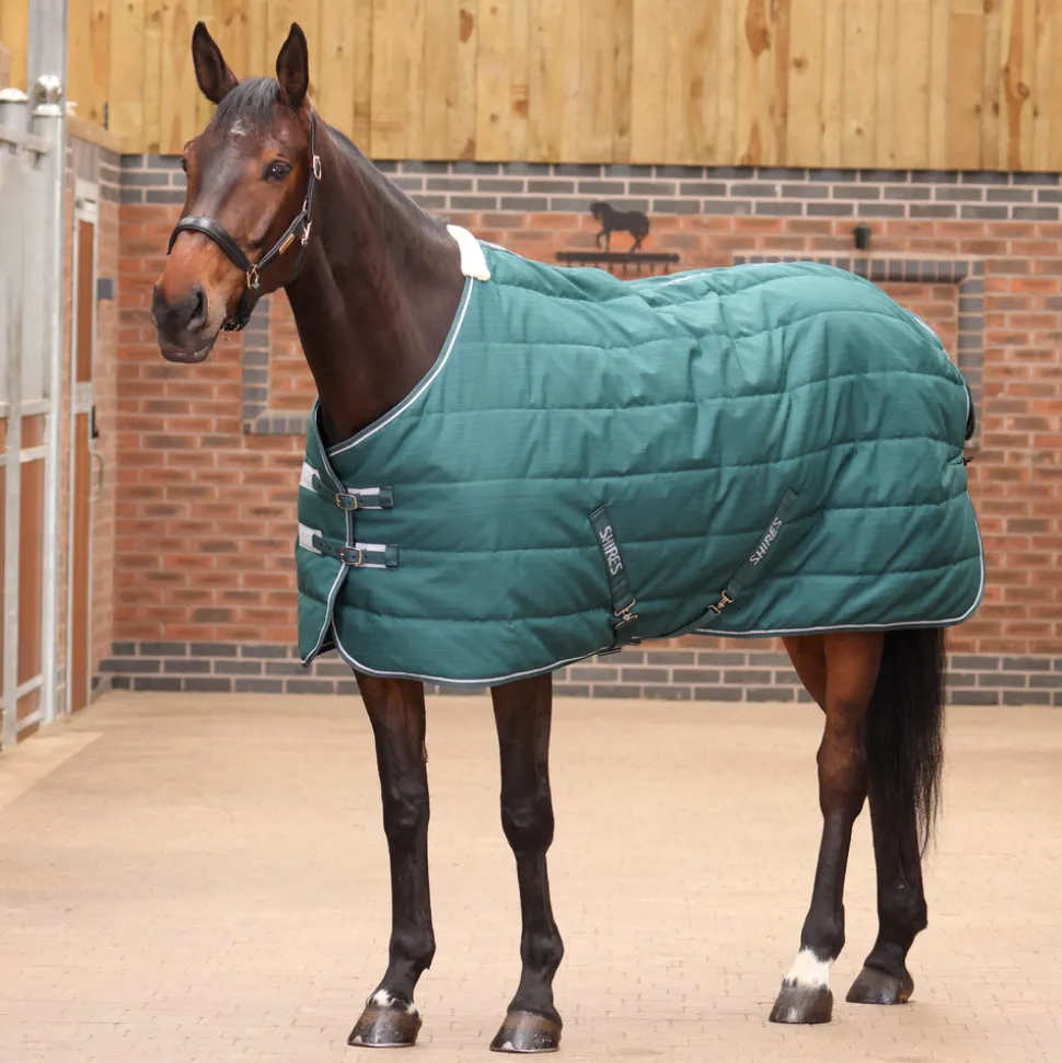 Tempest Original 200 Stable Rug