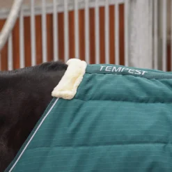 Tempest Original 200 Stable Rug