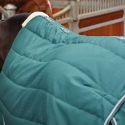 Tempest Original 200 Stable Rug