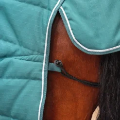 Tempest Original 200 Stable Rug