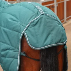 Tempest Original 200 Stable Rug