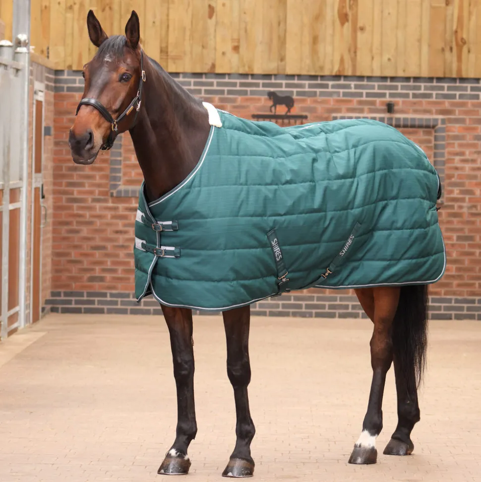Tempest Original 200 Stable Rug