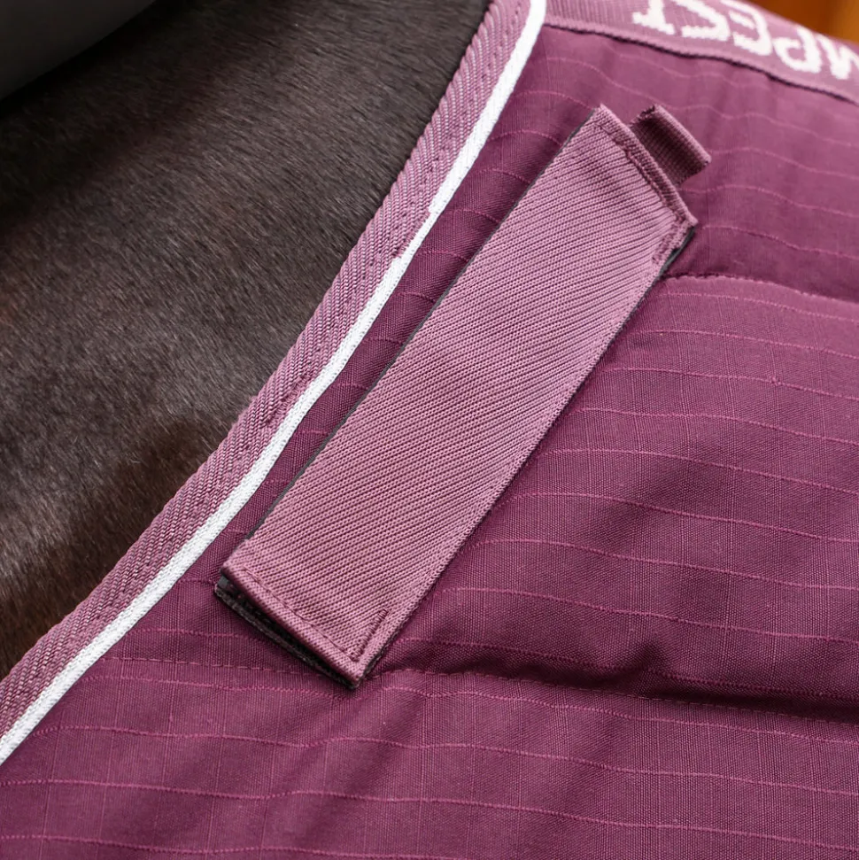 Tempest Original 300 Stable Rug & Neck
