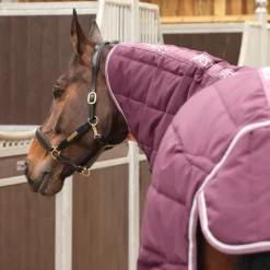 Tempest Original 300 Stable Rug & Neck