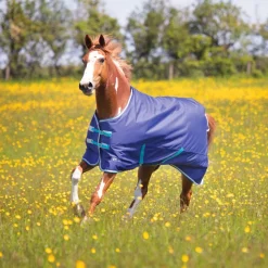 Tempest Original 100 Turnout Rug
