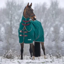 Tempest Original 200 Turnout Rug & Neck