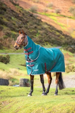 Tempest Original 200 Turnout Rug & Neck