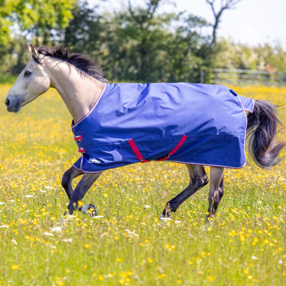 Tempest Original 100 Turnout Rug & Neck