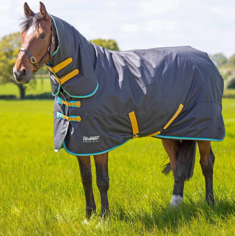 Tempest Original 300 Turnout Combo Rug