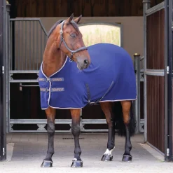 Tempest Original Fleece Rug