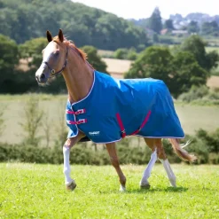 Tempest Original Lite Turnout Rug