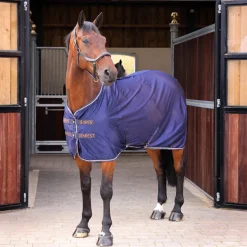 Tempest Original Mesh Cooler Rug