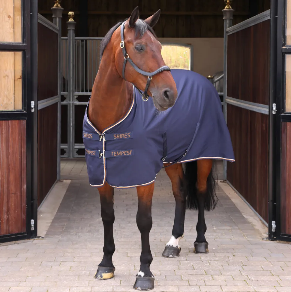 Tempest Original Stable Sheet