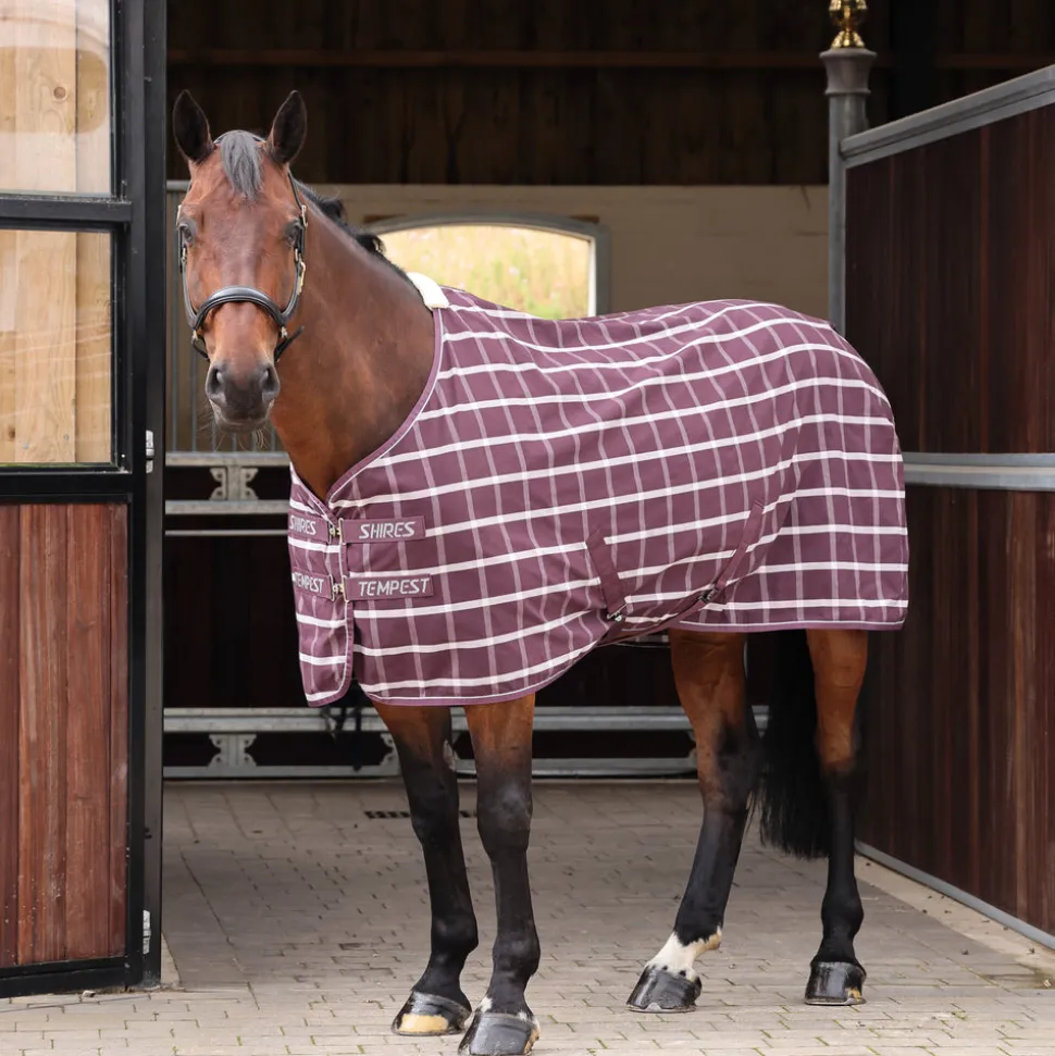 Tempest Original Stable Sheet