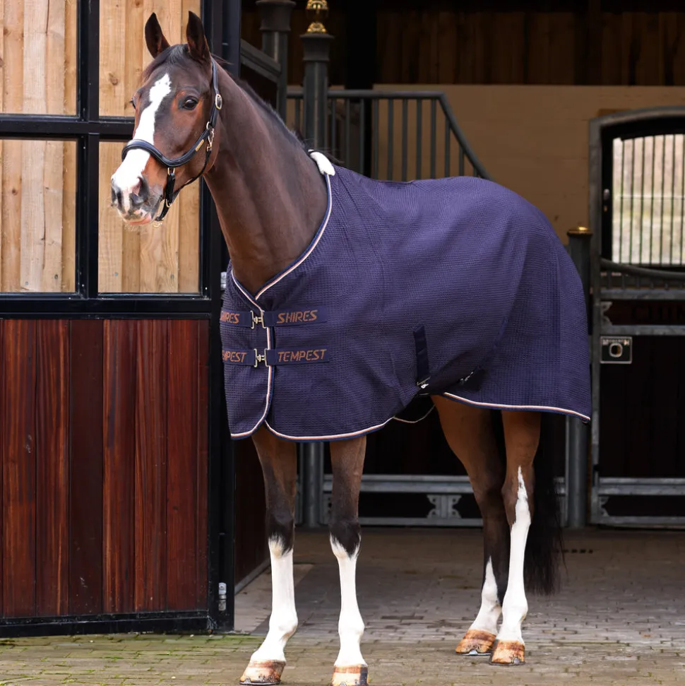 Tempest Original Waffle Rug