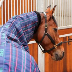 Tempest Plus 100 Stable Combo Rug