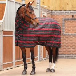 Tempest Plus 200 Stable Combo Rug