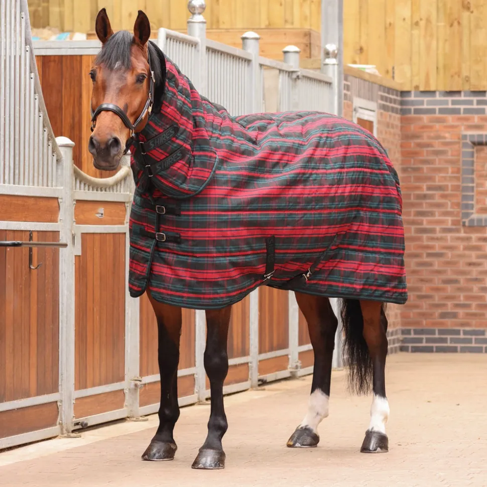 Tempest Plus 200 Stable Combo Rug