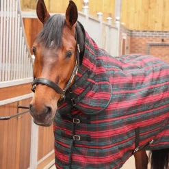 Tempest Plus 200 Stable Combo Rug