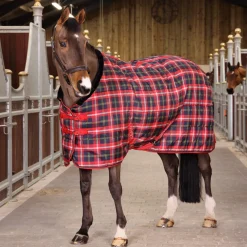 Tempest Plus 200 Stable Rug