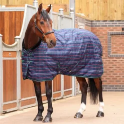 Tempest Plus 100 Stable Rug