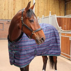 Tempest Plus 100 Stable Rug