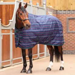 Tempest Plus 100 Stable Rug