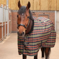 Tempest Plus Lite Stable Rug