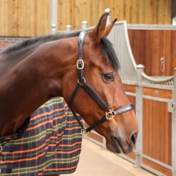 Tempest Plus Lite Stable Rug
