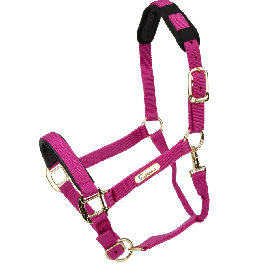 Topaz Nylon Headcollar