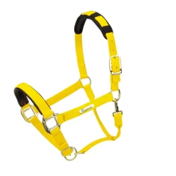 Topaz Nylon Headcollar