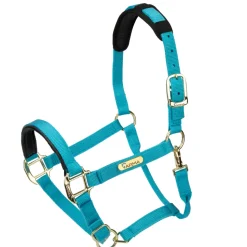 Topaz Nylon Headcollar