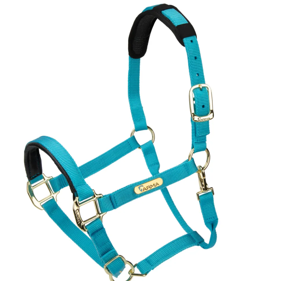 Topaz Nylon Headcollar