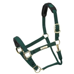 Topaz Nylon Headcollar
