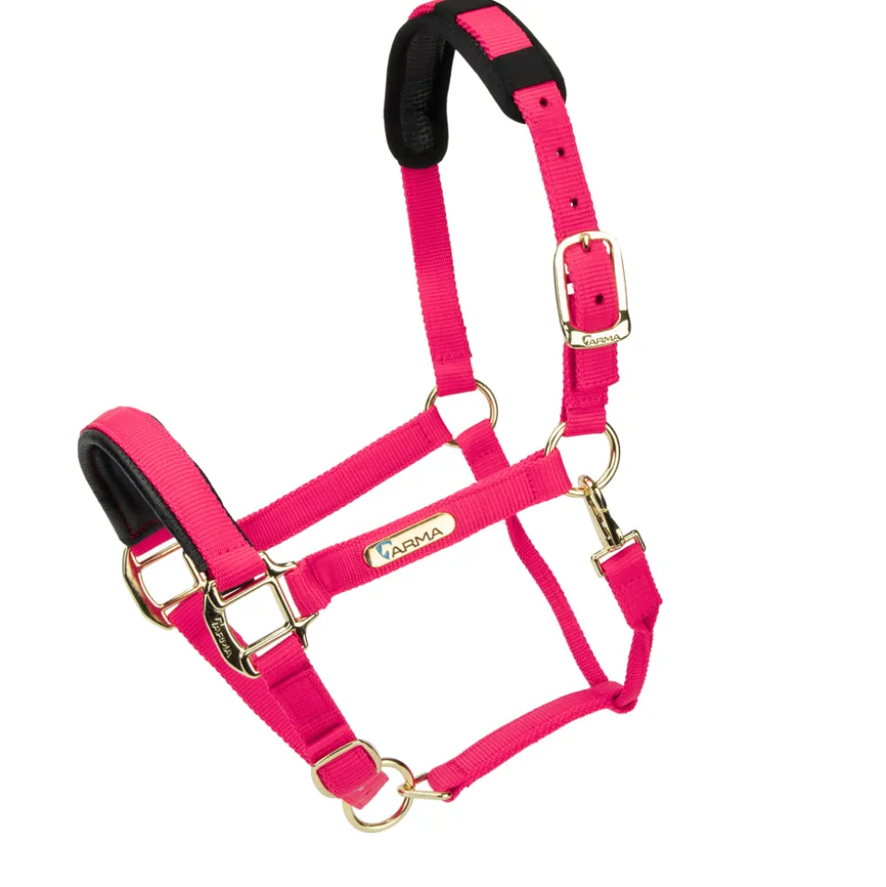 Topaz Nylon Headcollar
