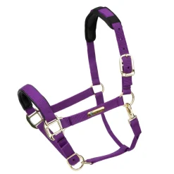 Topaz Nylon Headcollar