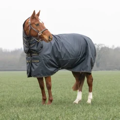 Typhoon 50 Combo Turnout Rug