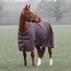 Typhoon 100 Turnout Rug